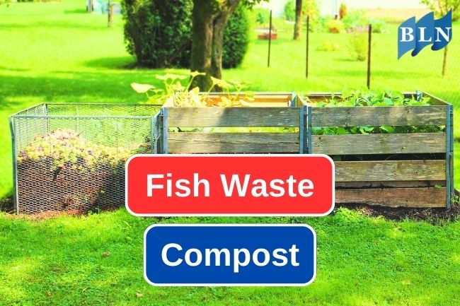 Fish Waste Potential to Become Compost